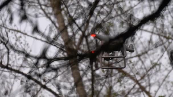 Flygande drönare med kamera mellan grenar — Stockvideo