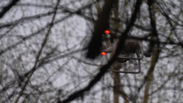 在树枝之间携带摄像头的无人驾驶飞机 — 图库视频影像