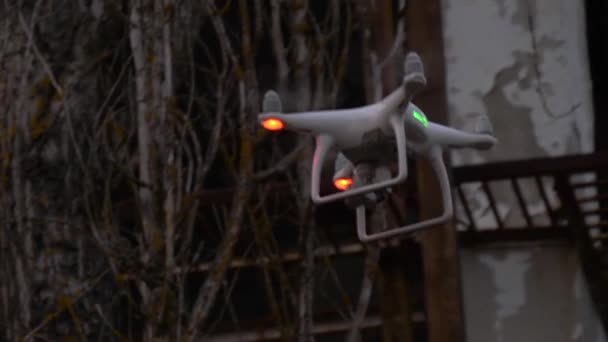 Flying drone with camera between branches — Stock Video