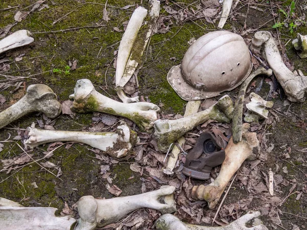 Chernobyl Exclusion Zone after the disaster