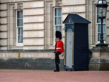 Buckingham Sarayı 'nda İngiliz muhafız devriyedir