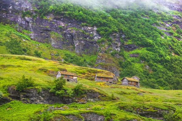 Старые дома с травяными крышами в Норвегии — стоковое фото