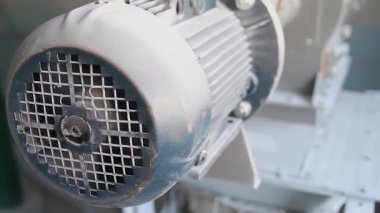 Küçük bir makarna fabrikasında makarna için öğütme unu.