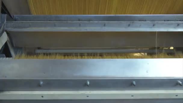 Usine de pâtes et étapes de production des pâtes . — Video