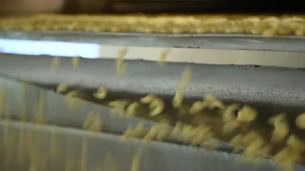パスタ マカロニ スパゲッティの生産ライン 表面にネットのような生地で覆われたコンベアベルトを下に移動するマカロニ片のクローズアップ 生のスパゲッティはコンベアで動いている — ストック動画