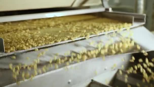 Línea transportadora para la producción de macarrones . — Vídeo de stock