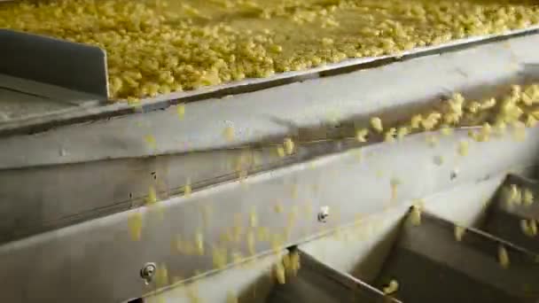 Industriële apparatuur in de pastafabriek. — Stockvideo