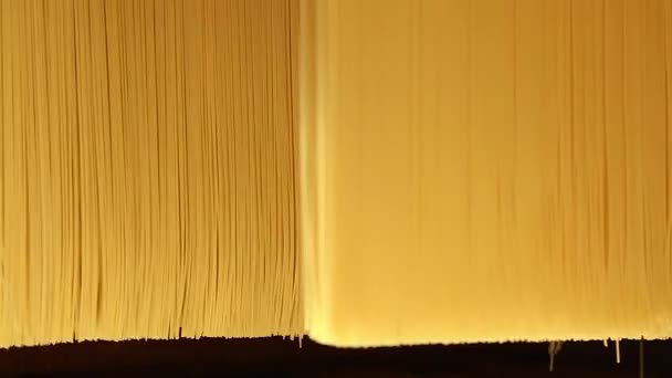 Closeup of raw spaghetti folding in a pasta factory. — Stock Video