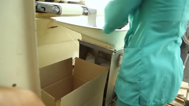 Embalagem de massas na fábrica . — Vídeo de Stock