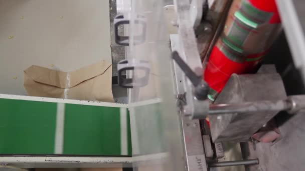 Лінія для пакування макаронів в пластикових мішках. — стокове відео