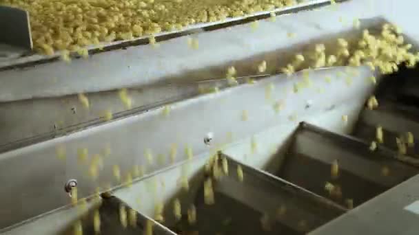 Making pasta with pasta machine. — Stock Video