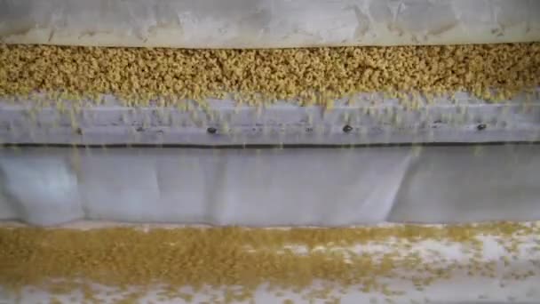 Macaroni tombant dans une machine à la carte. — Video