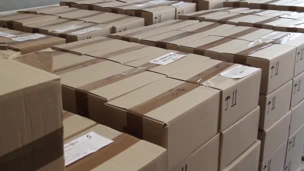 Stacks of cardboard boxes in warehouse of factory. — Stock Video