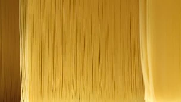 Hintergrund, Konsistenz von Pasta und Spaghetti Nahaufnahme — Stockvideo