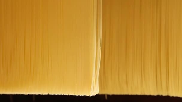 Close-up van RAW spaghetti vouwen in een pastafabriek. — Stockvideo