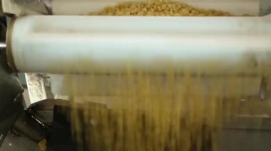 Makarna fabrikası ve makarna üretim aşamaları. Makarna, makarna, erişte, spagetti üretim hattı. Yüzeyde netbenzeri kumaşla kaplı konveyör bandından aşağı hareket eden makarna parçalarının yakınlaştırılması.