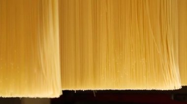 Spagetti üretim hattı.