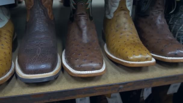 Mağazadaki raflara dizilmiş kovboy çizmeleri.. — Stok video