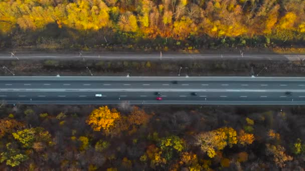 Bovenaanzicht twee boshelften worden gedeeld door de weg — Stockvideo