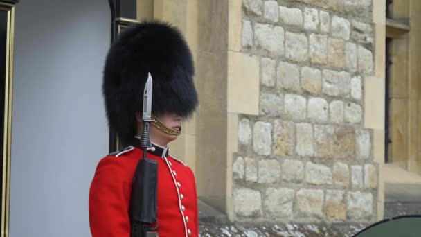 Centinela de guardia en la Torre de Londres . — Vídeo de stock