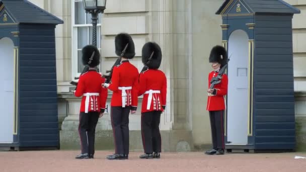 Buckingham Sarayı 'nda nöbetçi değişimi.. — Stok video