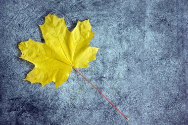  Metin için yer taş zemin üzerine sonbahar yaprakları