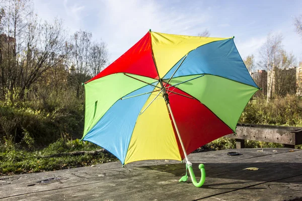 Parapluie Coloré Sur Fond Feuilles Jaunes — Photo