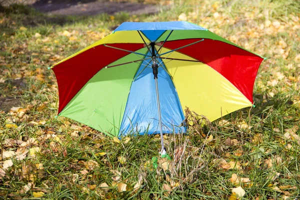 Sarı yaprakların arka plan üzerinde renkli şemsiye