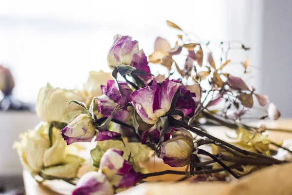 Dried Rose Flowers Light Wooden Background — Stock Photo, Image