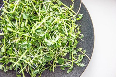 Microgreen karanlık bir arka plan üzerinde beyaz bir tabakta. Kilo kaybı, diyet, bezelye için arka plan beyaz bir tabağa lahanası