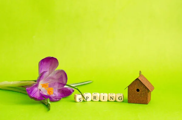 Arka plan bahar, Çiğdem çiçek ve zehir yazıt küpler Bahar, Bahar rüyalar hakkında. Arka plan bahar çiçekleri ve kuş yuvası ile