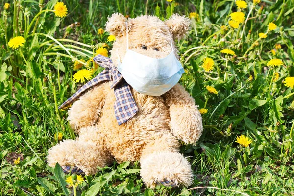 Medikal koruyucu maske takan oyuncak ayı.