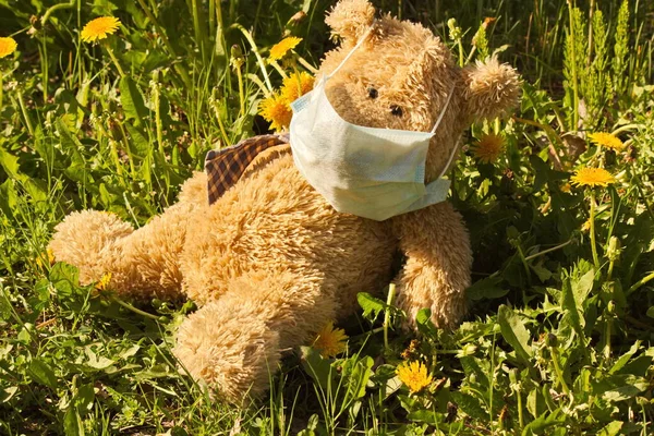 Medikal koruyucu maske takan oyuncak ayı.