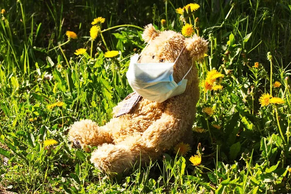 Medikal koruyucu maske takan oyuncak ayı.
