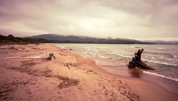 Nuvens baixas e troncos na costa do Lago Superior em Neys P — Fotografia de Stock