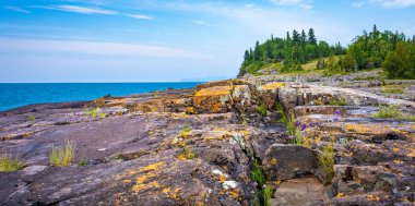 Orange Lichen and Grey stones in Ontario, Canada clipart