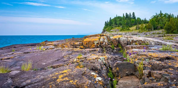 Помаранчевий лишайників і сірих каменів в Онтаріо, Канада — стокове фото