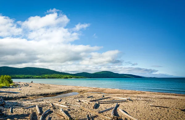 Driftwood na praia em Neys Provincial Park , — Fotografia de Stock
