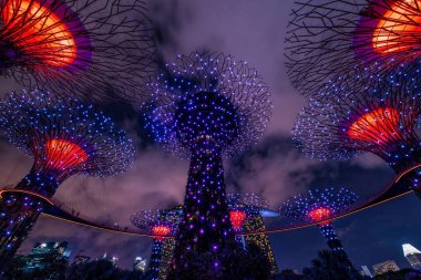 Singapur - 30 Nisan 2018: Ses ve ışık gösterisi Supertree Grove tarafından gece, Singapur koyunda bahçesinde.