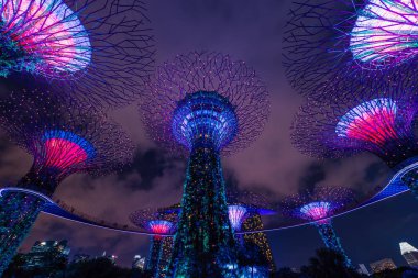 Singapur - 30 Nisan 2018: Ses ve ışık gösterisi Supertree Grove tarafından gece, Singapur koyunda bahçesinde.
