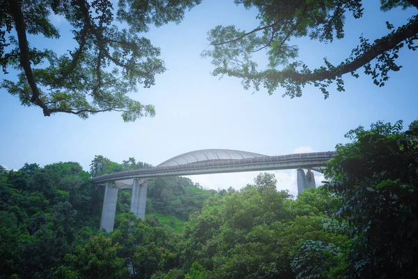 Henderson Pont Ondulé Sur Fond Ciel Bleu Jour Singapour — Photo