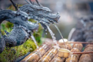 Bahar su formu ejderha Oshino Hakkai Köyü, Yamanashi ili, Japonya.