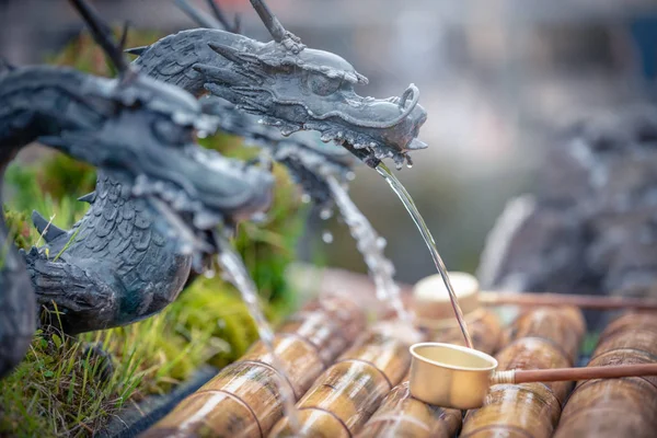 Bahar su formu ejderha Oshino Hakkai Köyü, Yamanashi ili, Japonya.