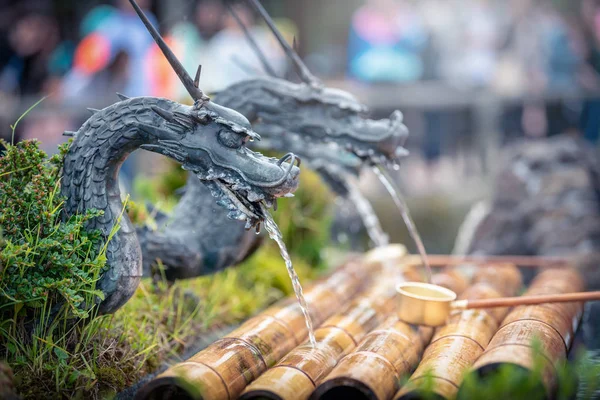 Bahar su formu ejderha Oshino Hakkai Köyü, Yamanashi ili, Japonya.