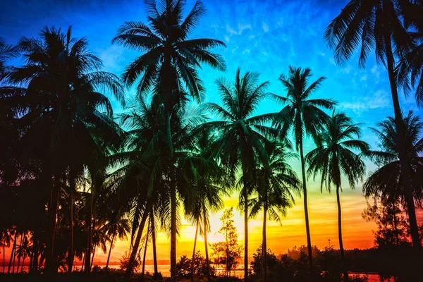 Silhouet Kokosnoot Palmbomen Het Strand Bij Zonsondergang Vintage Toon — Stockfoto