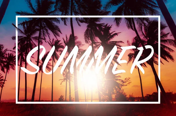 Kartpostal yaz. Gün batımında sahilde siluet Hindistan cevizi palmiye ağaçları. Vintage sesi.