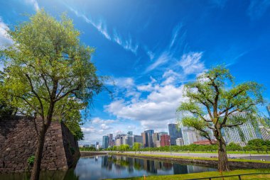 Tokyo, Japonya'nın mavi gökyüzü arka plan üzerinde yeşil Zen bahçeli modern bina.