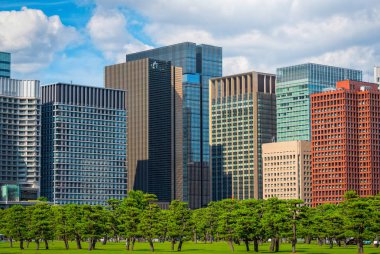 Tokyo, Japonya'nın mavi gökyüzü arka plan üzerinde yeşil Zen bahçeli modern bina.