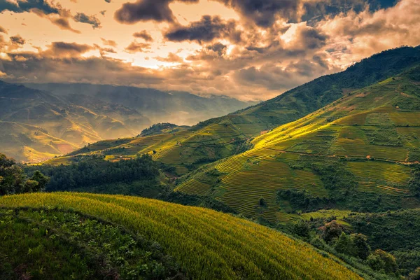 Reisfelder Auf Terrassen Mit Holzpavillon Bei Sonnenaufgang Cang Chai Yenbai — Stockfoto