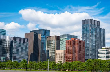 Tokyo, Japonya'nın mavi gökyüzü arka plan üzerinde yeşil Zen bahçeli modern bina.